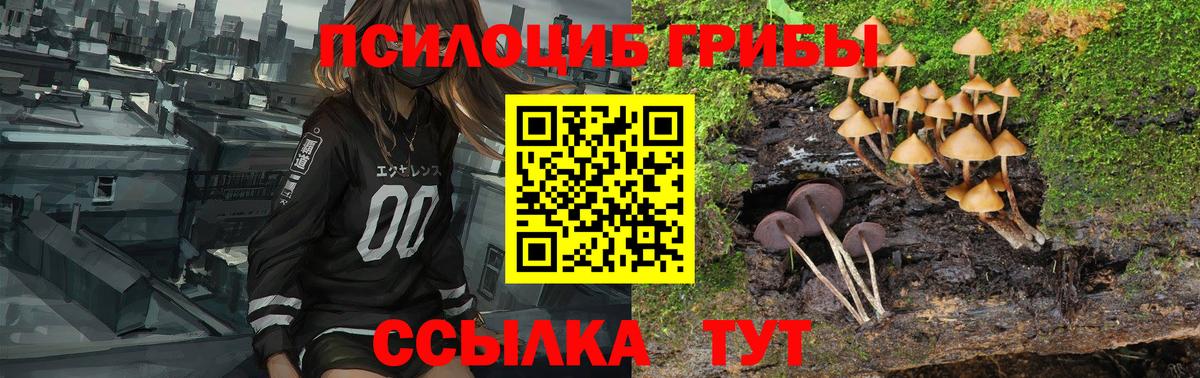 ГАШИШ Томск