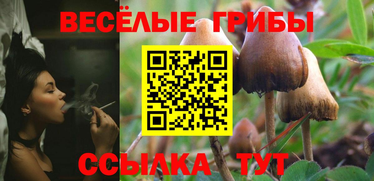 Галлюциногенные грибы GOLDEN TEACHER  Псилоцибиновые грибы Cubensis  Томск  Вход с VPN 